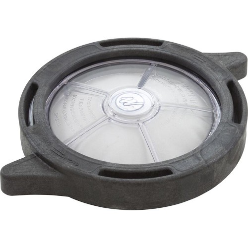 Waterway Hi-Flo_Mustang_Workhorse_Workman Trap Lid 319-4100