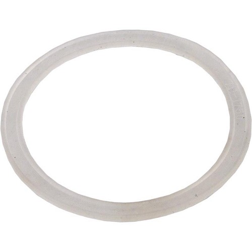 Waterway Poly Jet Wall Fitting Gasket 711-1750
