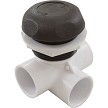 Waterway 1" Top Access Diverter Valve Three Port 600-4389-DSG 