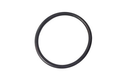 Waterway O-Ring 805-0226