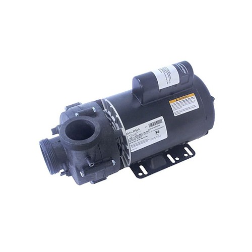 4 HP Balboa Ultimax Spa Pump 2 Speed 230V 5239212-S